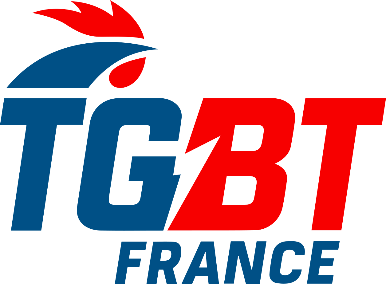 Maintenance / Dépannage haute tension en Île-de-France
